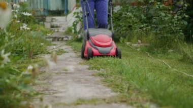 Kız yazın bahçede güllerle birlikte çiçek saksılarının etrafındaki çim biçme makinesiyle çim biçiyor. Çimleri biçmeye yakın çekim.