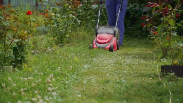 在花园里割草 户外季节性家务劳动 — 图库视频影像