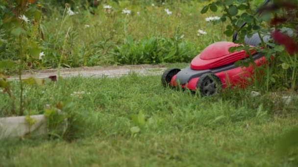 Nahaufnahme Des Rasenmähens Gärtner Mäht Das Gras Mit Rasenmäher — Stockvideo