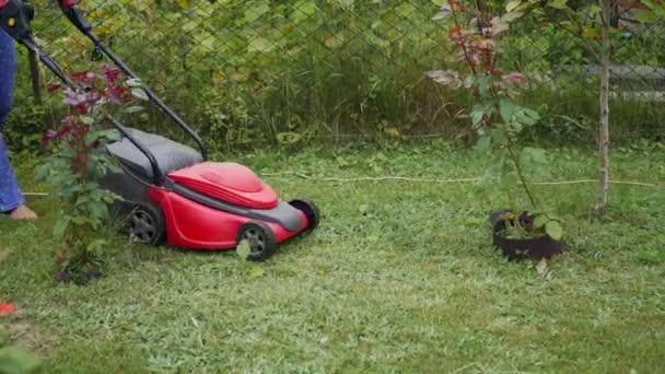 修剪草坪的特写 户外季节性家务劳动 — 图库视频影像