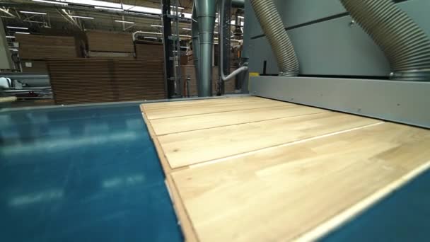 Tecnología Moderna Molienda Parquet Una Fábrica Carpintería Proceso Procesamiento Tablas — Vídeo de stock