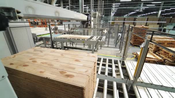 Processo Fabricação Placas Madeira Linha Automática Deixa Produtos Acabados Indústria — Vídeo de Stock