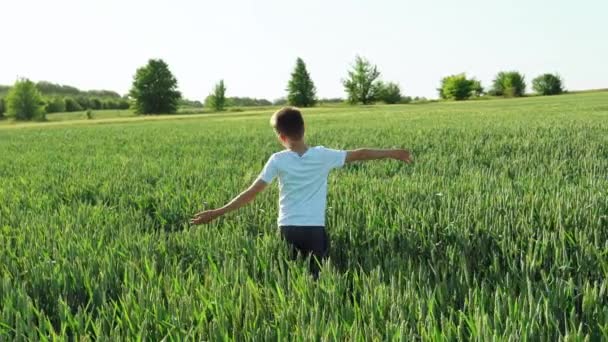 Bambino Gira Intorno Con Braccia Distese Sullo Sfondo Campo Verde — Video Stock