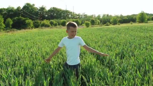 夏天的一天 一个孩子张开胳膊绕着自己转来转去 摸着尚未成熟的麦穗 慢动作 — 图库视频影像