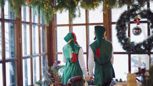Gli Elfi Gioiosi Costumi Verdi Stanno Visualizzando Paesaggio Dalla Finestra — Video Stock