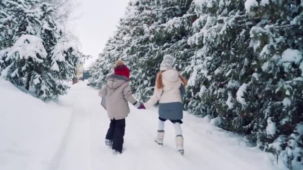 孩子们背着背在雪地的路上跑着 手牵着手在两边针叶林的背景下走着 小男孩手里拿着一个棕色的信封 — 图库视频影像