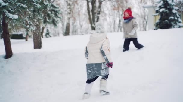 陽気そうな子供たちが雪の中を走り 木々の周りの冬に公園で一緒に遊んでいます スローモーション — ストック動画