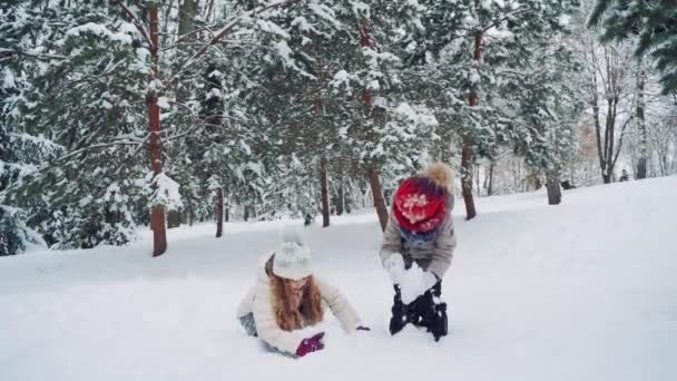 暖かい服や帽子の面白い子供たちは 緑のモミの木の背景に冬に公園で大きな雪玉を形成しています スローモーション — ストック動画