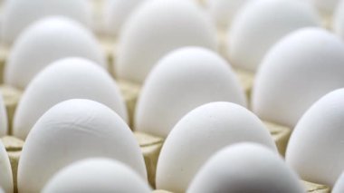 Karton bir kutuda beyaz tavuk yumurtası. Kağıt tepside yumurtalar.