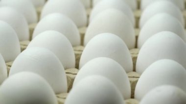 Karton bir kutuda beyaz tavuk yumurtası. Bir tepsi yumurta.