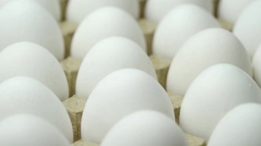 Beyaz tavuk yumurtası. Konteynırda tavuk yumurtası