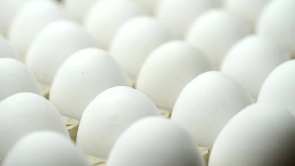 Weiße Hühnereier Einem Karton Eier Papierkorb — Stockvideo