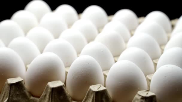 Белые Куриные Яйца Картонной Коробке Яйца Контейнере — стоковое видео