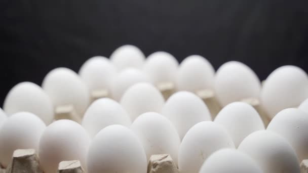 Hand Puts Eggs Box Eggs Stacked Tray — Stock Video