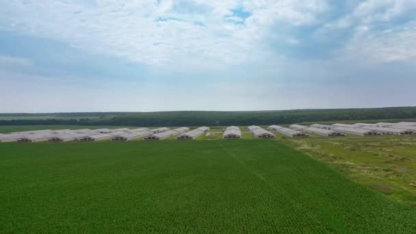 Aves Capoeira Fazenda Industrial Visão Olhos Pássaro Drone Voador Grande — Vídeo de Stock