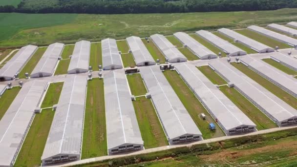 Uitzicht Vanuit Lucht Grote Landbouwboerderij Complex Van Witte Gebouwen Pluimveebedrijf — Stockvideo