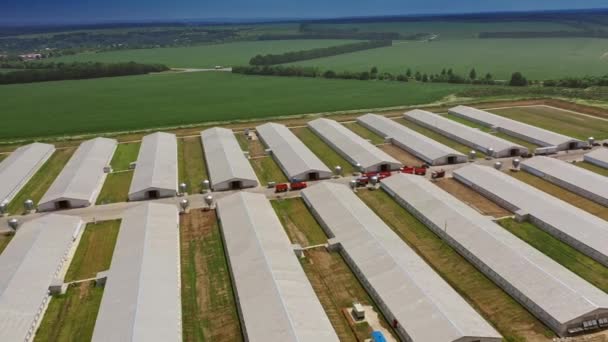 Granja Avícola Industrial Industria Agrícola Campo Desde Arriba — Vídeo de stock