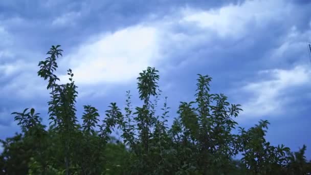 天空中的雷雨 在乌云密布的夜空中闪电的景象 — 图库视频影像