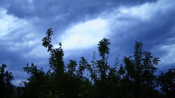 Foudre Dans Paysage Foudre Éclair Éclair Sur Ciel Dramatique — Video