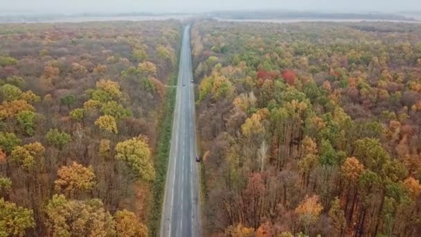 Droga Pięknym Jesiennym Lesie Antena Nad Widokiem Krajobrazu Wiejskiego Drogą — Wideo stockowe