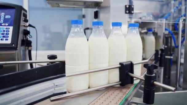 Producción Leche Fábrica Producción Leche Línea Fábrica — Vídeo de stock