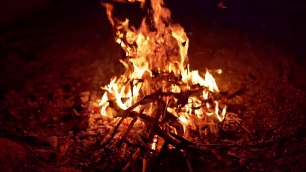 Holz Brennt Flammen Nahaufnahme Der Flammen Des Lagerfeuers — Stockvideo