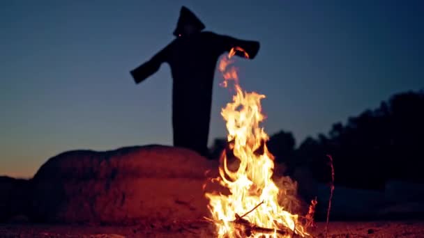 森の中で夜の火災で魔女 魔女シルエットヘキシングでダークフォレスト — ストック動画
