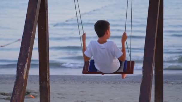Rapaz Divertir Swing Visão Traseira Menino Montando Baloiço Oon Praia — Vídeo de Stock