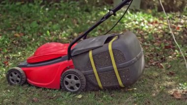 Kırmızı çim biçme makinesi çim biçiyor. Profesyonel bir çim biçme makinesiyle çimleri biçmek