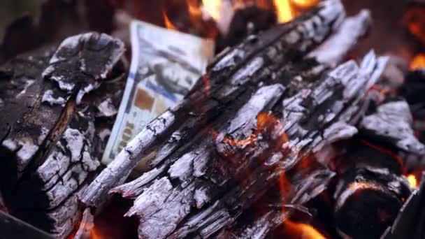 Widok Płonących Pieniędzy Sto Dolarów Spłonie Pożarze — Wideo stockowe