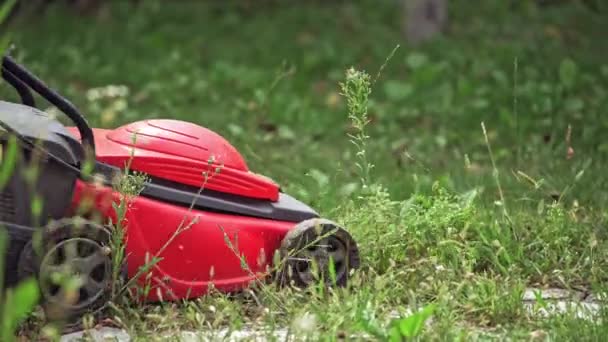 Uomo Che Falcia Erba Operaio Esterno Che Lavora Sulla Falciatura — Video Stock