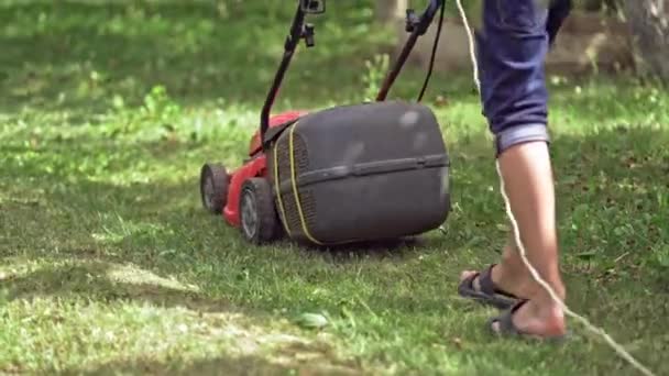 Çim Biçen Adam Bahçede Çim Biçme Makinesi Olan Bir Bahçıvan — Stok video