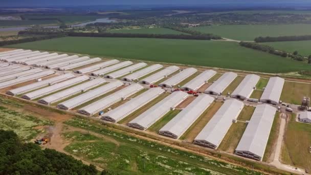 Luftaufnahme Über Die Geflügelfarmen Landwirtschaft Auf Dem Land Von Oben — Stockvideo
