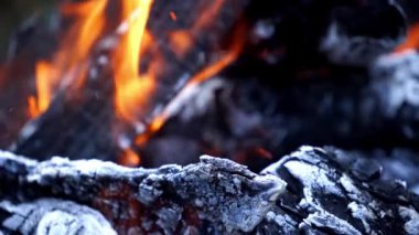 Yangın arka planı. Şöminede yanan odunlara yakın durun.