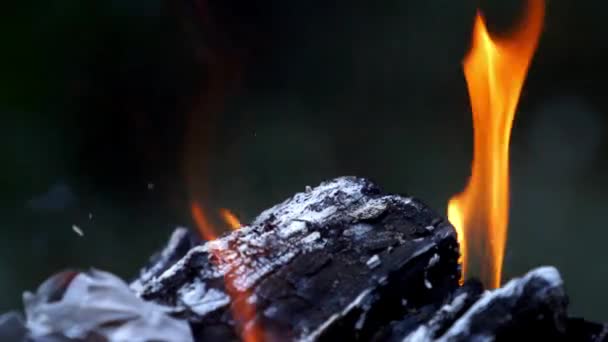 Brennholz Flammen Aus Nächster Nähe Feuerflammen Sterbender Glut Aus Nächster — Stockvideo