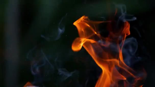 Beau feu ardent. Brûler du bois de chauffage dans la cheminée fermer 