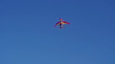 Parlak uçurtma gökyüzünde uçuyor. Gökyüzüne karşı rüzgarda uçan renkli uçurtma