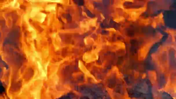 Teplo Oheň Krbu Zblízka Intenzivní Plameny Ohni — Stock video