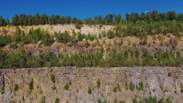 Paisagem Natural Verde Vista Aérea Avançando Para Floresta Pinheiros Montanha — Vídeo de Stock