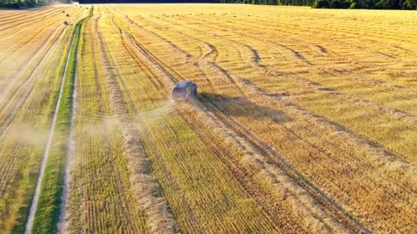 Rural Road Field Aerial View Car Passing Field — Stock Video