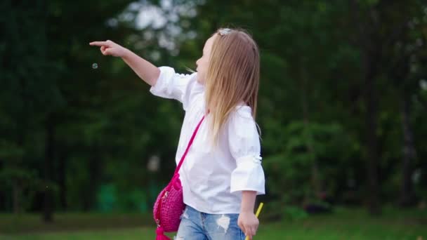 女孩在公园里玩得很开心美丽快乐的女孩在公园里玩得很开心 — 图库视频影像
