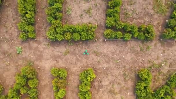 Projektowanie Ogrodów Nowoczesny Nowoczesny Luksusowy Projekt Ogrodu Widoku Powietrza — Wideo stockowe