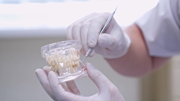 Dimostrazione Igiene Orale Primo Piano Del Dentista Che Mostra Modello — Video Stock