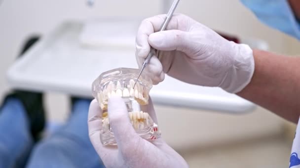 Zahnarzt Demonstriert Zahnmodell Männlicher Zahnarzt Mit Zahnmodell Der Dem Patienten — Stockvideo