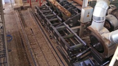 Üretimde montaj hattı. Sanayi fabrikasında ahşap tahtaların üretimi ve işlenmesi