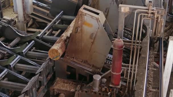 製材所の木だ 製材業内のログマシン上で転送されるログ — ストック動画