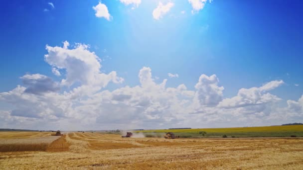 Combine moissonneuse-batteuse en action sur champ de blé. Paysage estival de champs sans fin sous le ciel bleu 