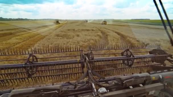 Interior Cabin View Harvest Wheat Farmer Controlling Combine Harvest — Stock Video