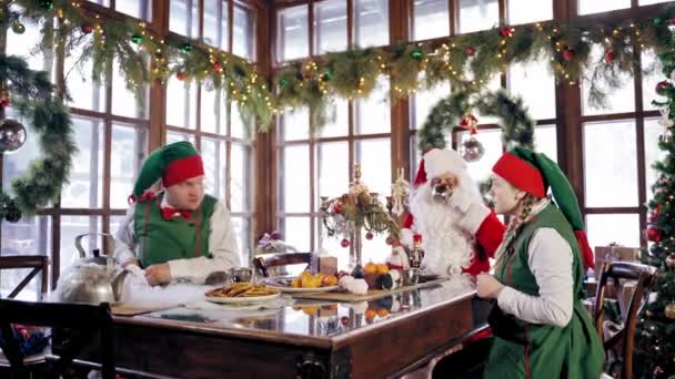 Family Dinner Christmas Santa Claus Celebrating Elves Table — Stock Video © wedmov #360522102