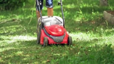 Çim biçme makinesi çim biçiyor. Bahçıvan çimenleri çim biçme makinesiyle biçiyor.